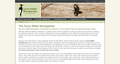 Desktop Screenshot of ivorybill.org