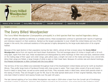 Tablet Screenshot of ivorybill.org